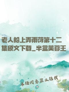 老人船上弄雨荷第十二集原文下载