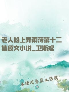 老人船上弄雨荷第十二集原文小说