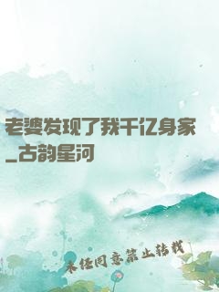 老婆发现了我千亿身家