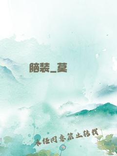脑装