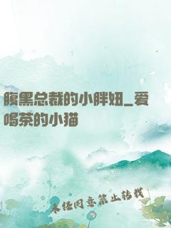 腹黑总裁的小胖妞