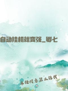 自动挂机就变强