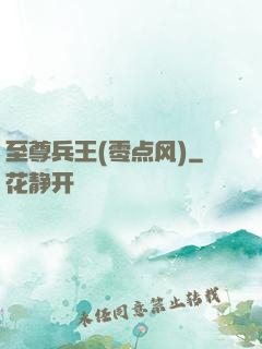 至尊兵王(零点风)