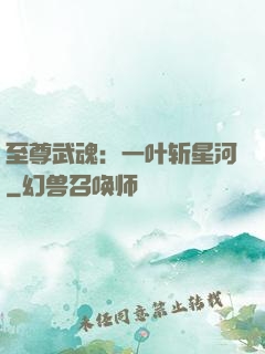 至尊武魂：一叶斩星河
