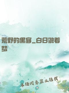 荒野的黑客