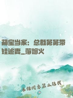 萌宝当家：总裁舅舅带娃追妻