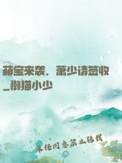 萌宝来袭，萧少请签收