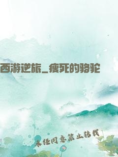 西游逆旅