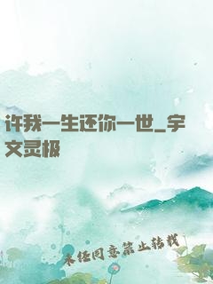 许我一生还你一世