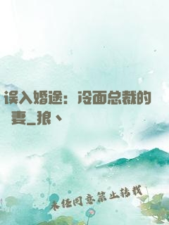 误入婚途：冷面总裁的囧妻