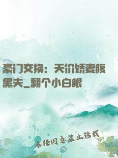 豪门交换：天价娇妻腹黑夫