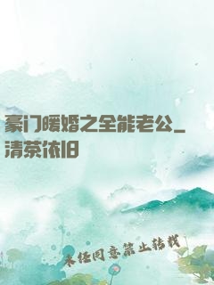 豪门暖婚之全能老公
