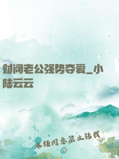 财阀老公强势夺爱