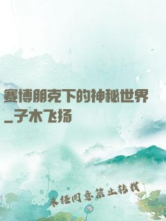赛博朋克下的神秘世界