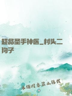 超品圣手神医