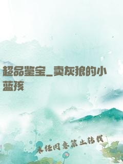 超品鉴宝