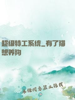 超级特工系统