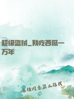 超级盗贼