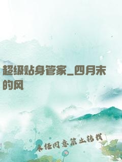 超级贴身管家