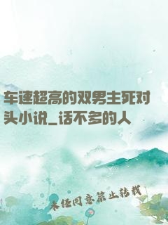 车速超高的双男主死对头小说