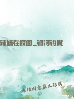 辣妹在校园