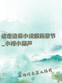 边走边爱小说最新章节