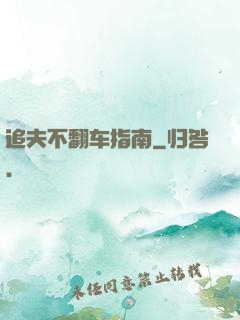 追夫不翻车指南