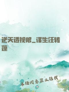 逆天透视眼