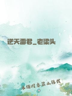 逆天雷君