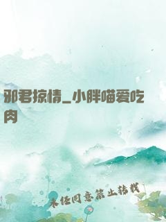邪君掠情