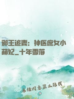 邪王追妻：神医庶女小萌妃