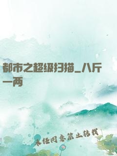 都市之超级扫描