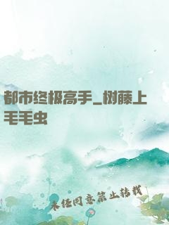 都市终极高手