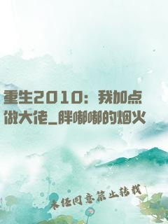 重生2010：我加点做大佬