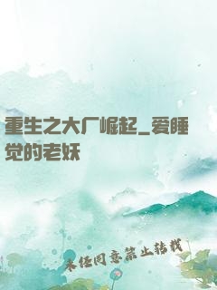 重生之大厂崛起
