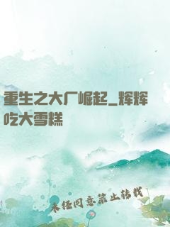 重生之大厂崛起