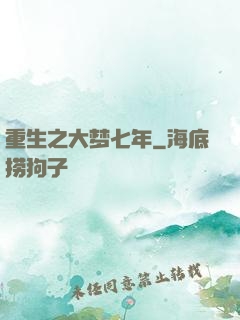 重生之大梦七年