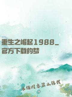 重生之崛起1988