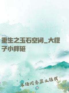 重生之玉石空间
