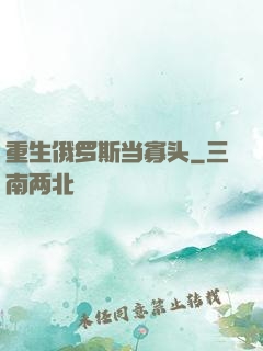 重生俄罗斯当寡头