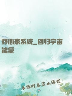 野心家系统