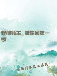 野心领主