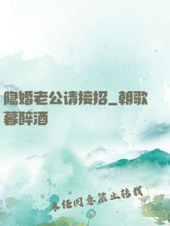 隐婚老公请接招