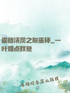 霍格沃茨之灰巫师
