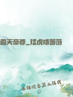 霸天帝尊