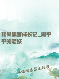 顶尖黑客成长记
