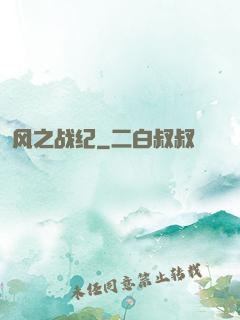 风之战纪