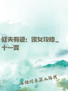 驭夫有道：傻女攻略