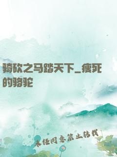 骑砍之马踏天下