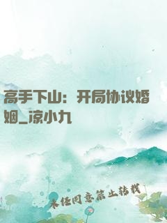 高手下山：开局协议婚姻